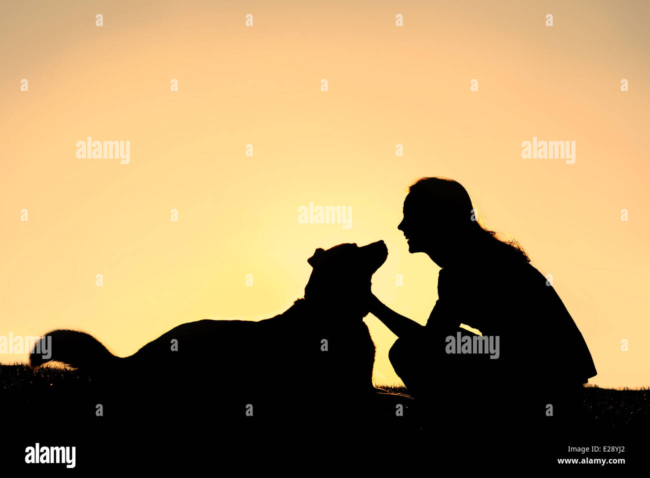 A silhouette of a happy, smiling girl, lovingly petting her German Shepherd dog, isolated against a sunset in the sky. Stock Photo