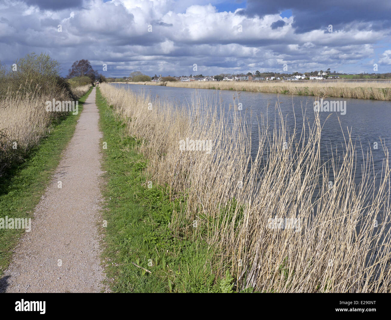 View of towpath and canal, Exeter Canal, South of Exeter, Devon, England, March Stock Photo