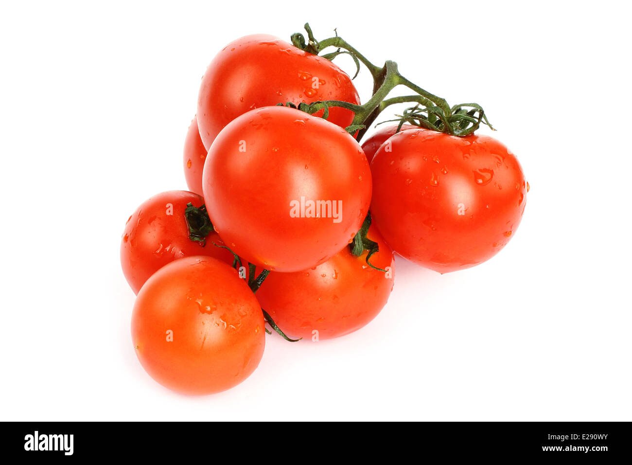 Tomatoes with water drops on white background Stock Photo - Alamy