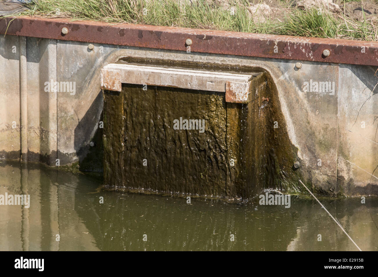 Sluice gate used to controle water levels at Deepdale marsh Norfolk. Stock Photo