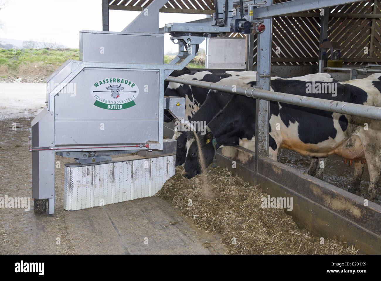 Wasserbauer Butler Automatic Feeder And Scraper On Dairy Farm