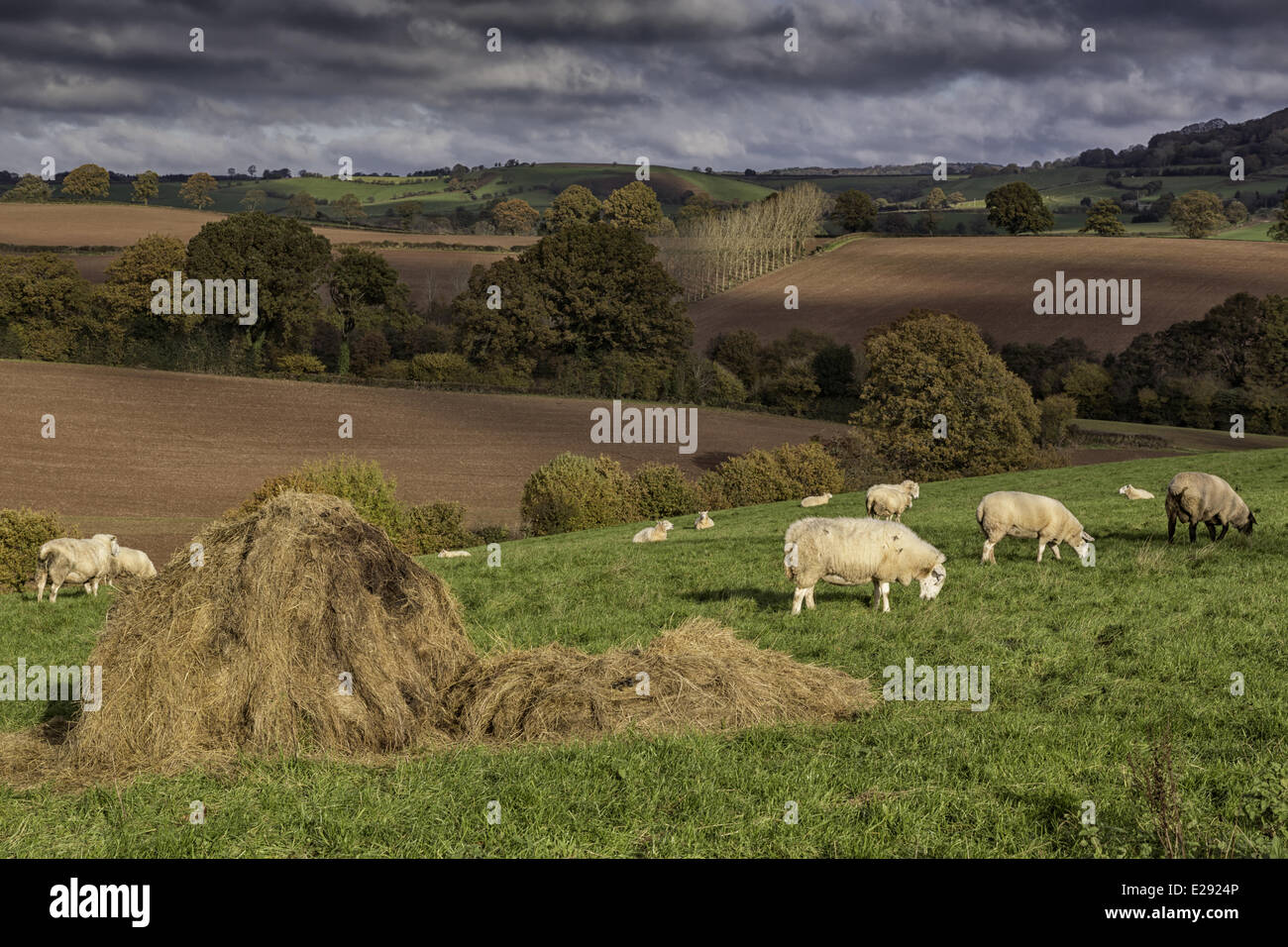 Trelleck grange hires stock photography and images Alamy