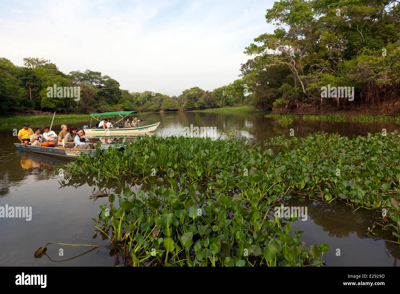 Brazil, Mato Grosso, Pantanal area, tourists on the Rio Cuiaba Stock Photo
