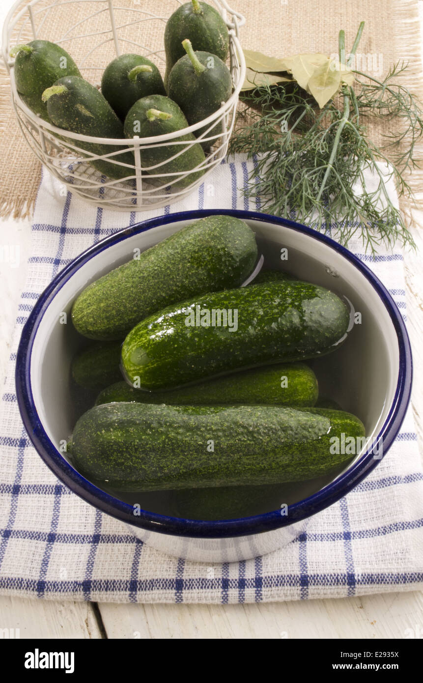 pickled gherkins with saltwater in a blue and white enamel bowl Stock Photo