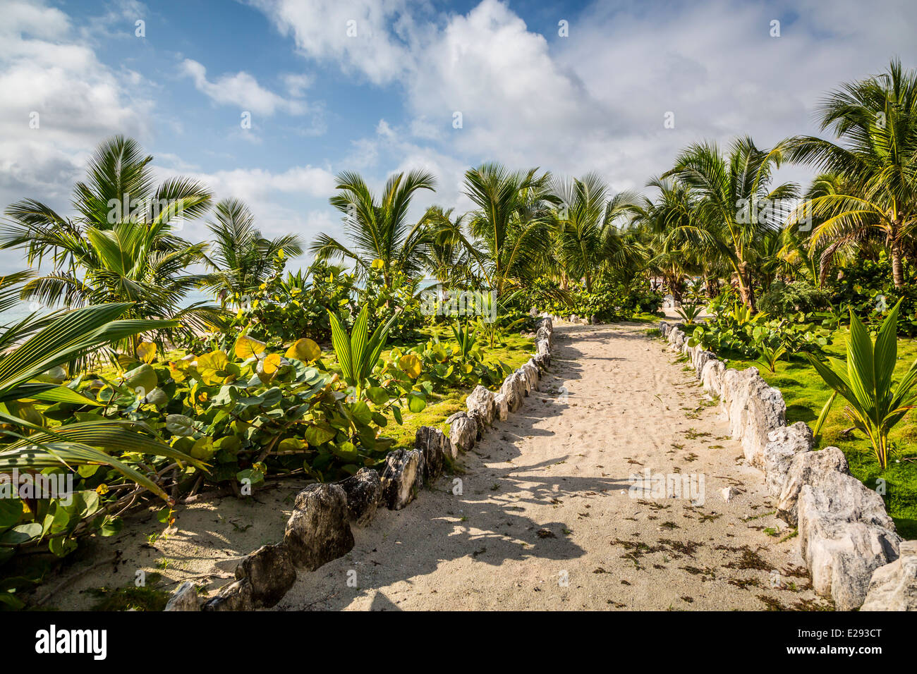 Park tropical hi-res stock photography and images - Alamy