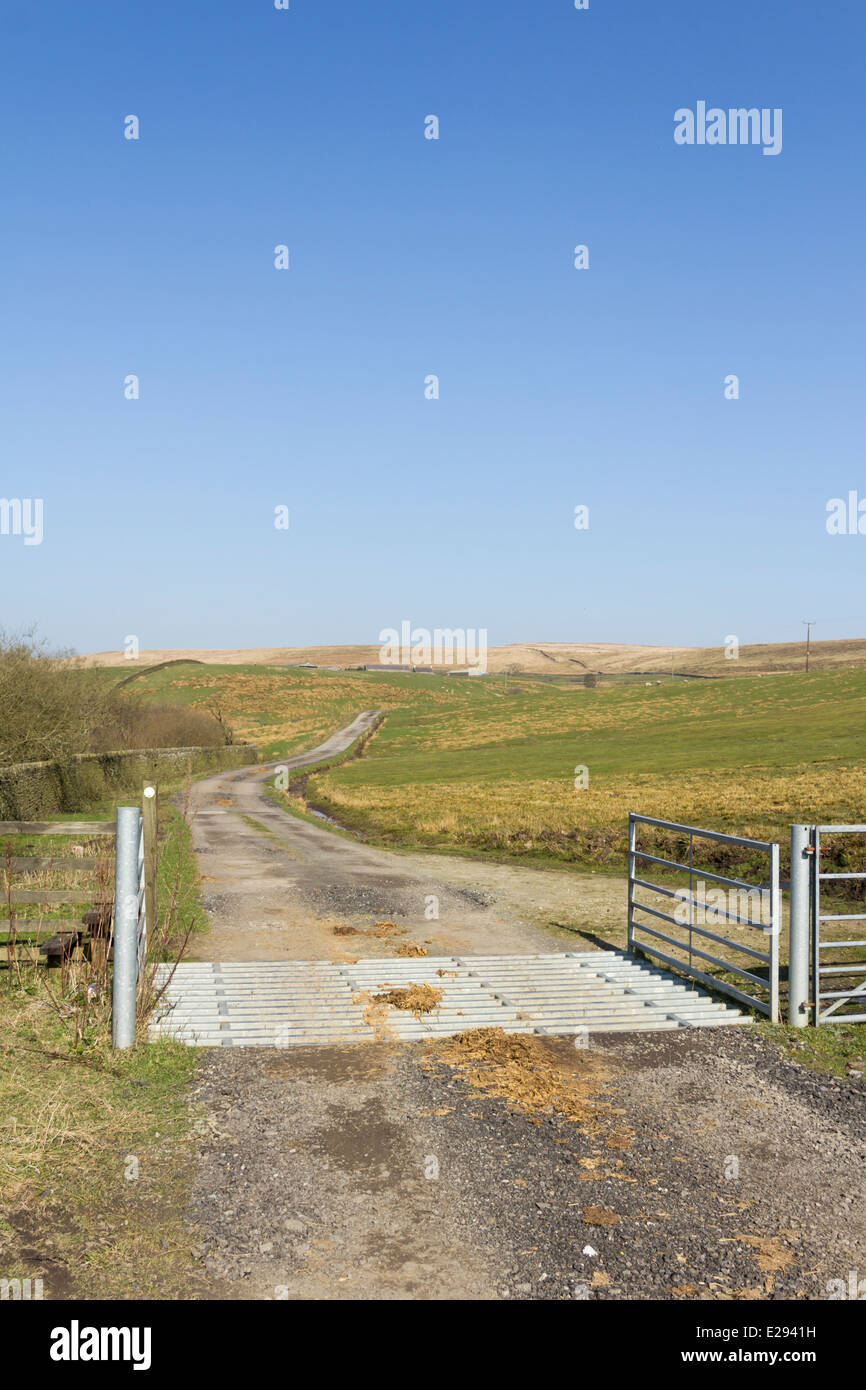 Steel farm gate hi-res stock photography and images - Alamy