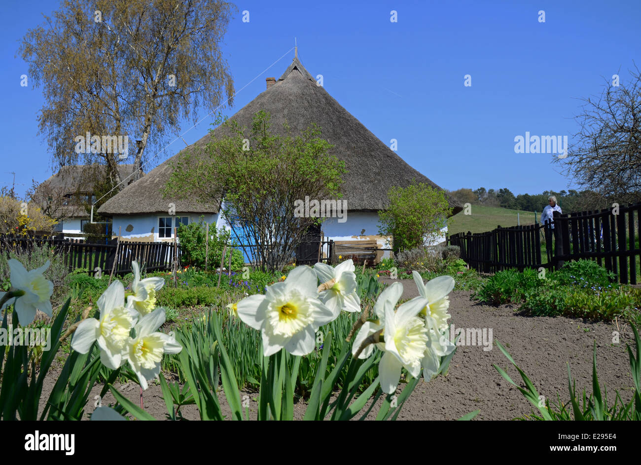 Museum Pfarrwitwenhaus On Baltic Sea Ruegen Island Monchgut