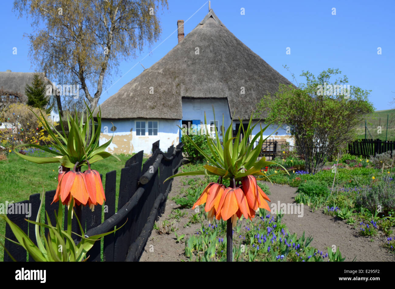 Museum "Pfarrwitwenhaus" on Baltic Sea Ruegen Island  Middelhagen Stock Photo