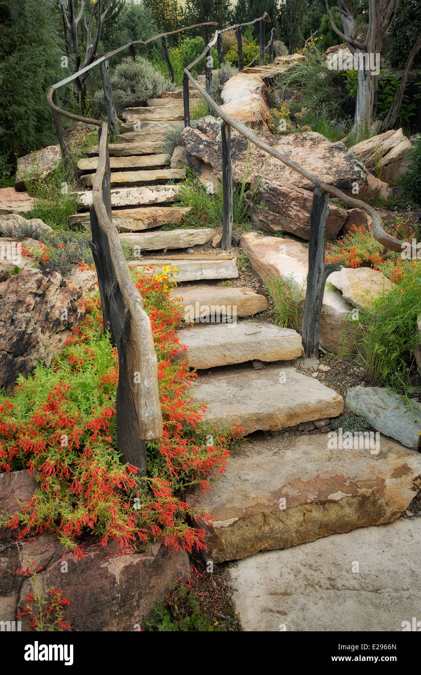 Stone steps with red Beard-tongue penstemon. Betty Ford Alpine Gardens. Vail, Colorado Stock Photo