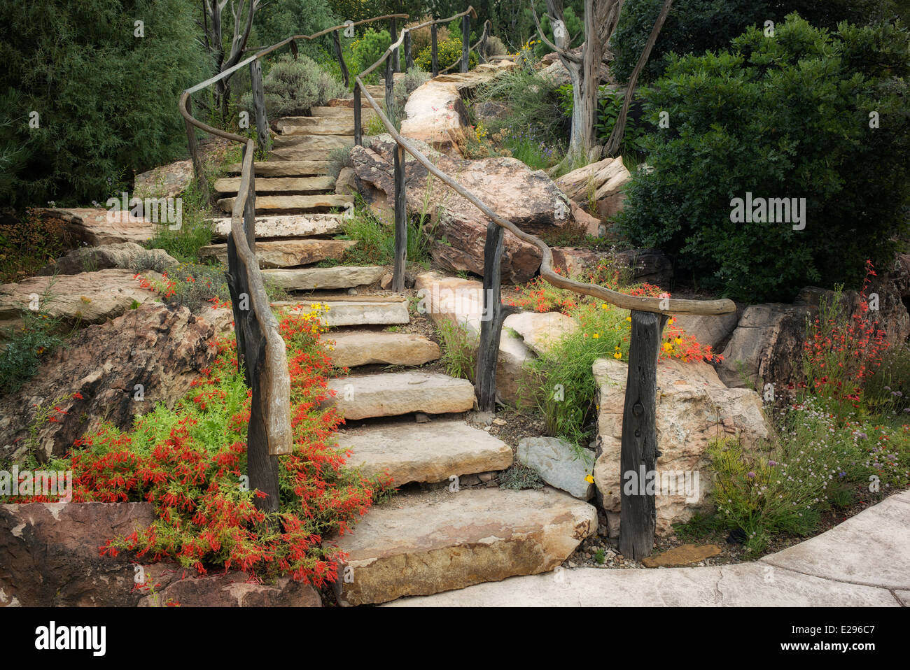 Stone steps with red Beard-tongue penstemon. Betty Ford Alpine Gardens. Vail, Colorado Stock Photo