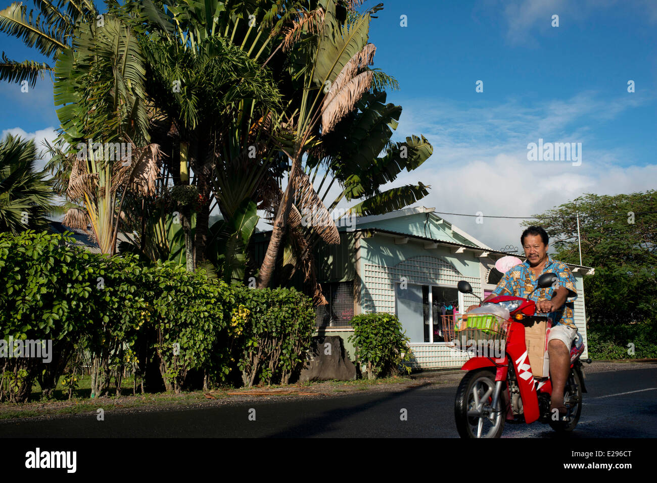 Rarotonga Island. Cook Island. Polynesia. Houses near the Punanga Nui