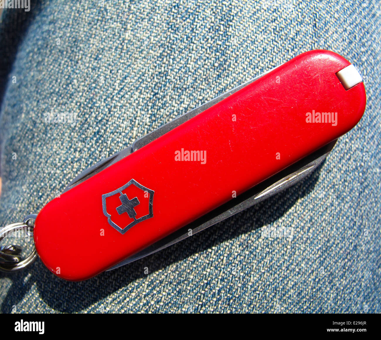 Small Swiss Army pocket knife Stock Photo Alamy