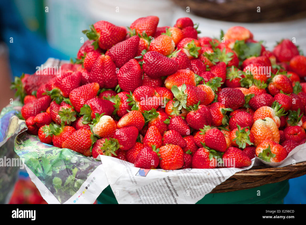Strawberries for sale at the vegetable market in Cusco, Peru, the ancient seat of the Inca Empire high in the Andes. Stock Photo