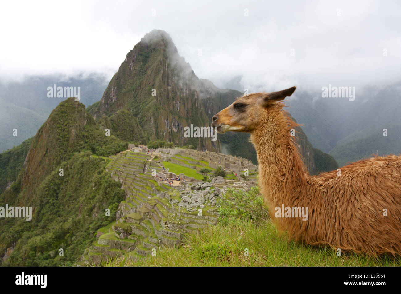 Beautiful and mysterious Machu Picchu, the lost city of the Incas, in the Peruvian Andes, at sunrise. Stock Photo