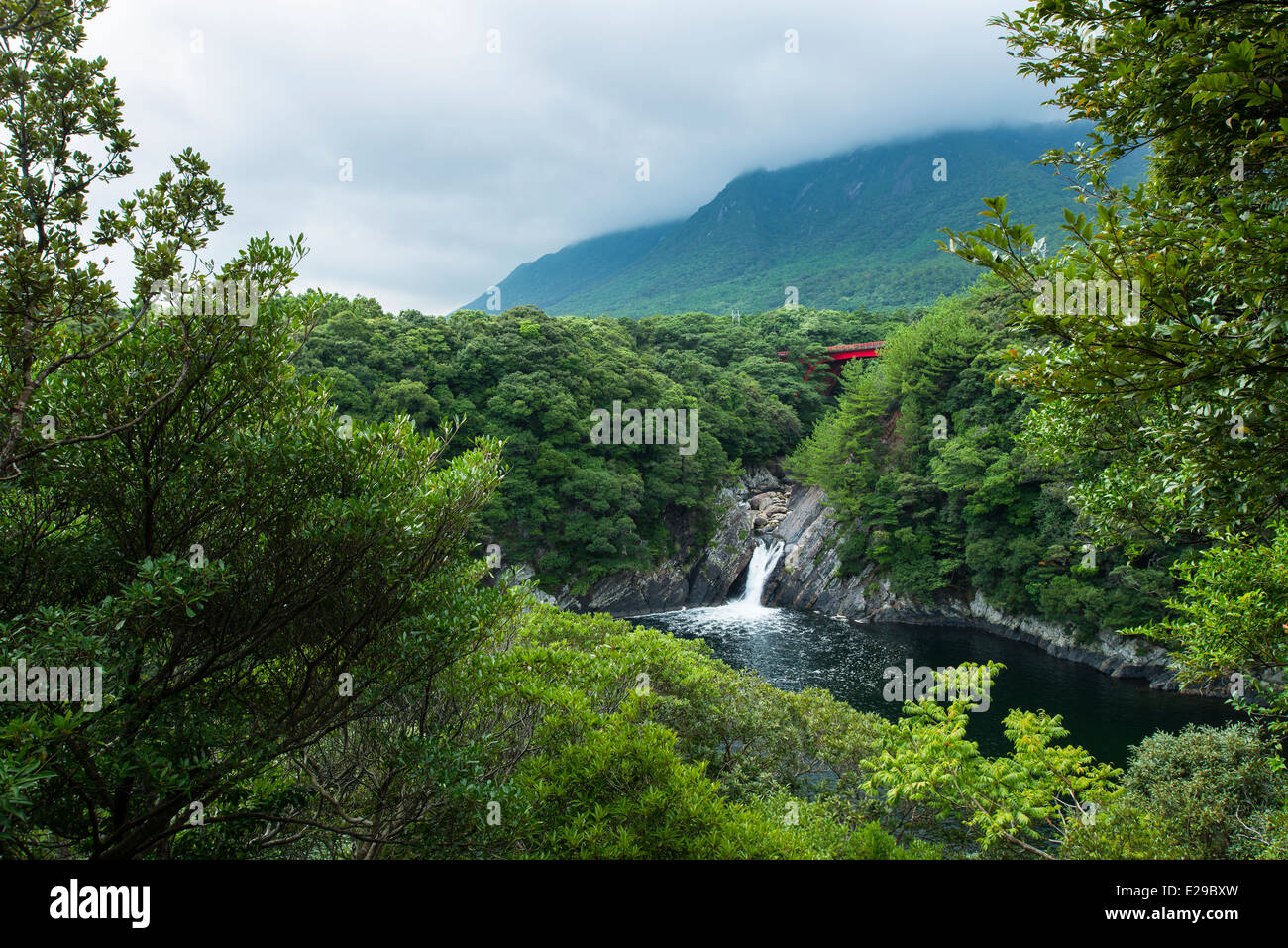 Toroki Falls, Yakushima, Kagoshima, Japan Stock Photo