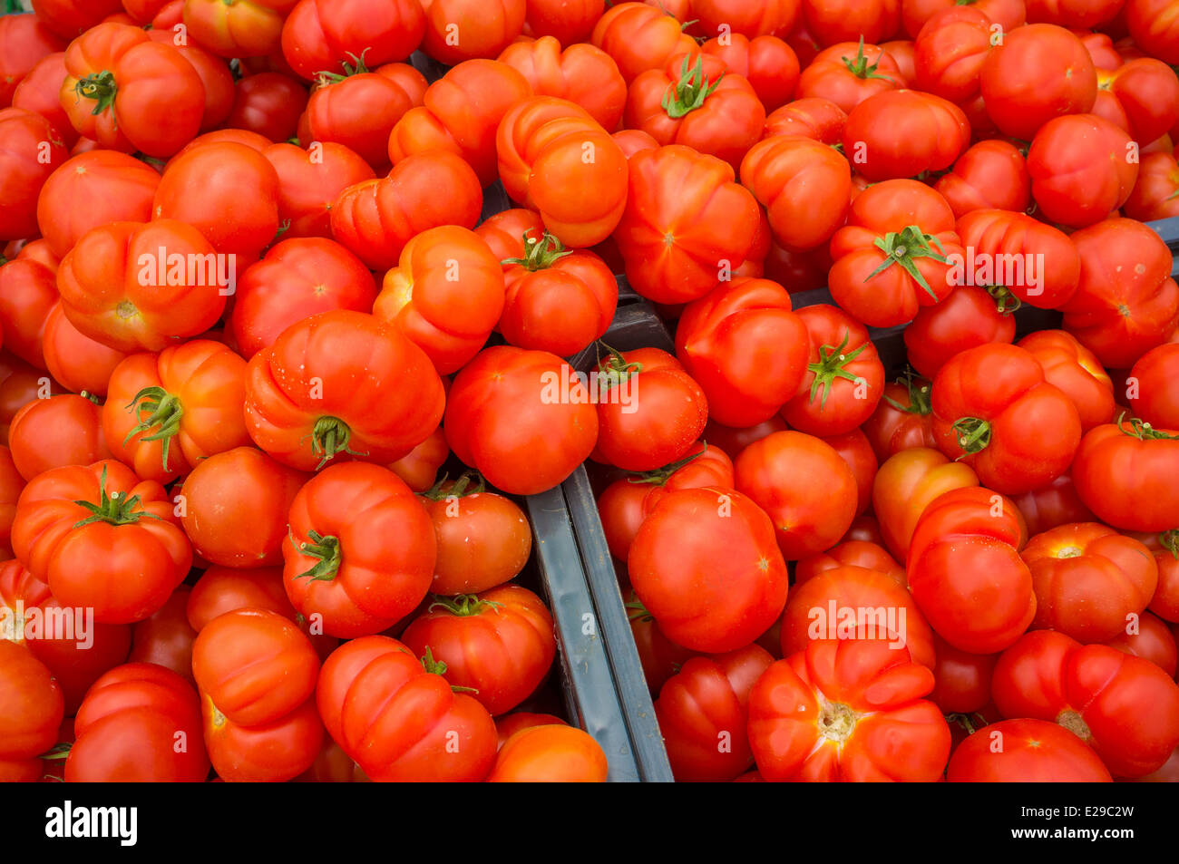 Full frame take of some crates with tomatoes on a market stall Stock Photo