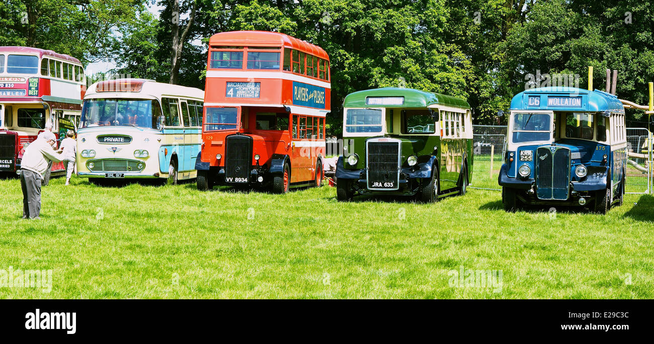 Line of vintage buses on display at Autokarna 2014 Wollaton Park Nottingham Nottinghamshire east Midlands England Europe Stock Photo