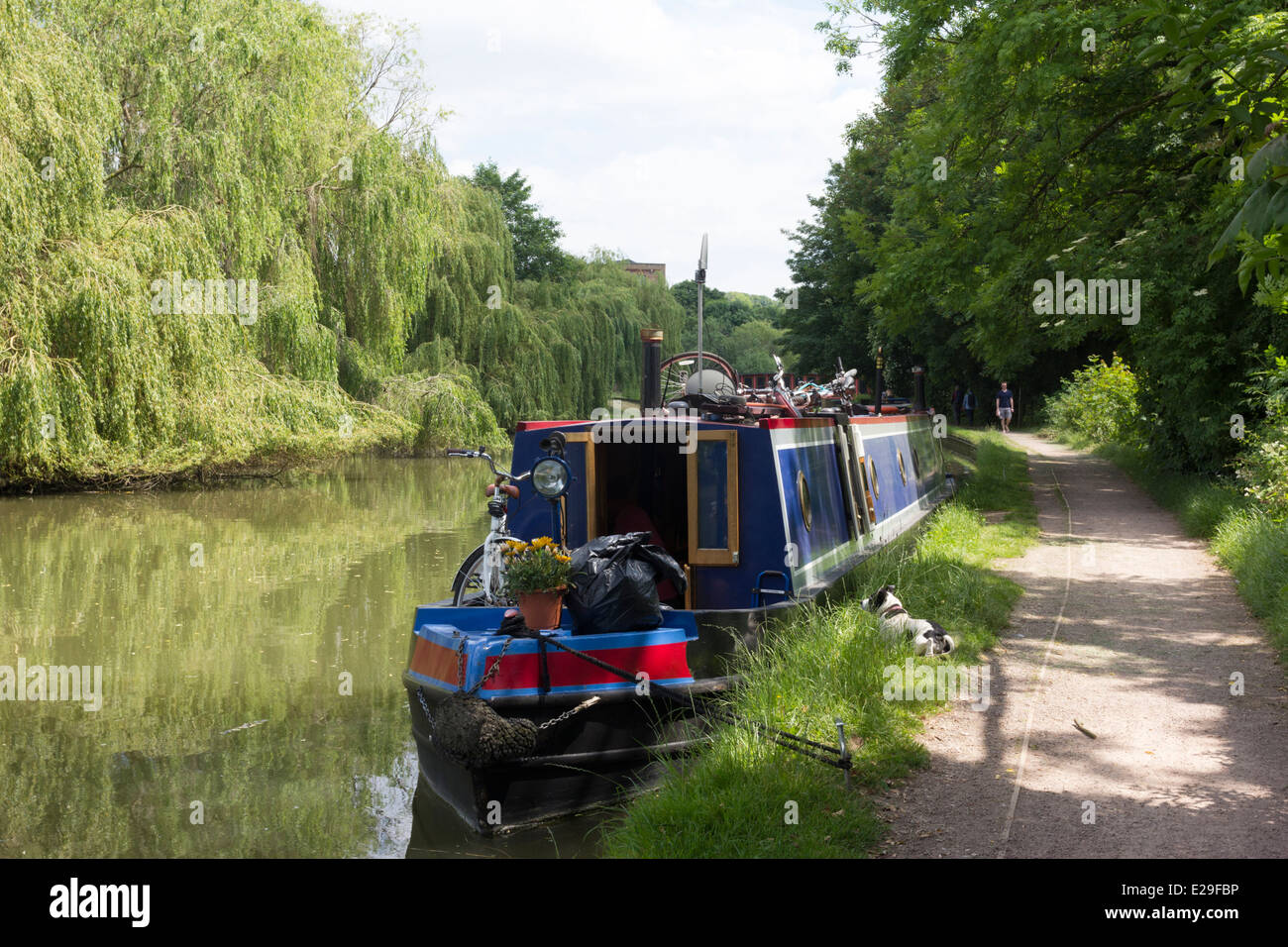 Grand Union Canal - Berkhamsted - Hertfordshire Stock Photo