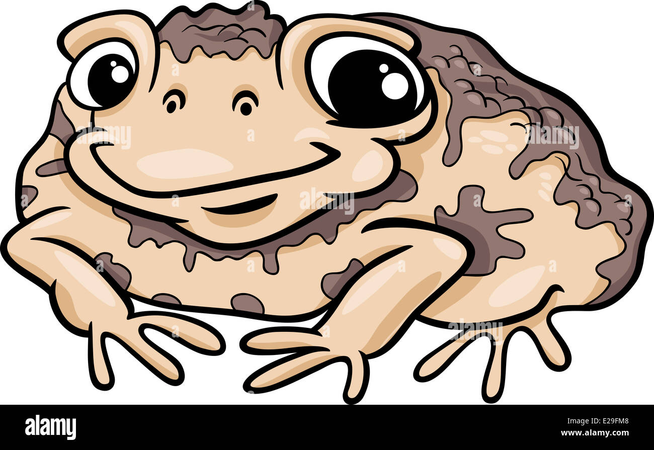 Cartoon Illustration of Funny Toad Amphibian Animal Stock Photo - Alamy