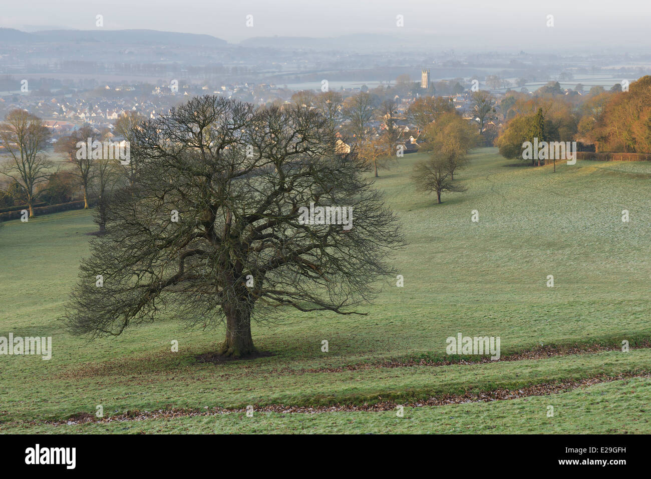 Wrington, somerset hires stock photography and images Alamy