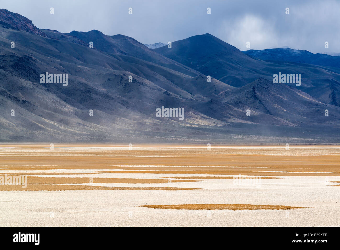 Dry lake bed in Northern Nevada Stock Photo Alamy