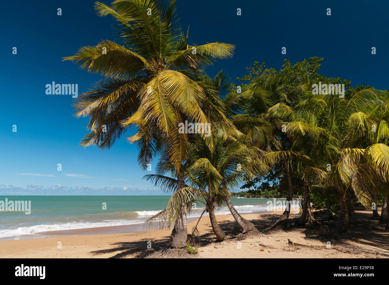 France, Guadeloupe (French West Indies), Basse Terre, Deshaies, Cluny Beach Stock Photo