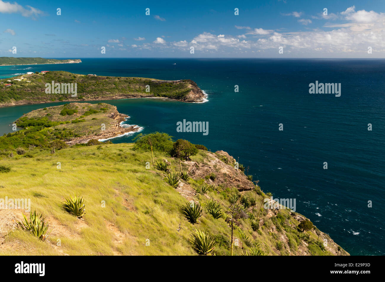 Antigua and Barbuda, Antigua Island, Willoughby Bay Stock Photo Alamy