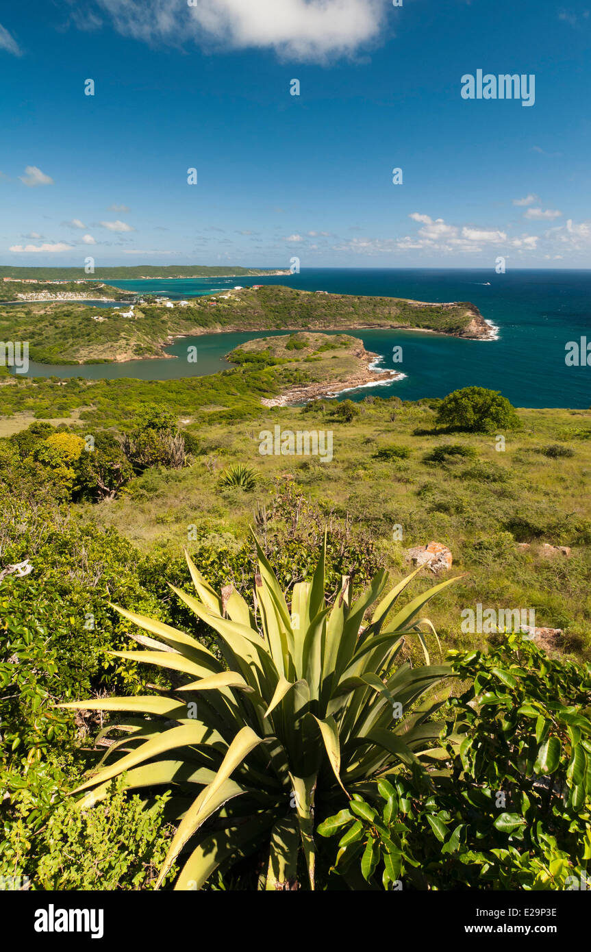 Antigua and Barbuda, Antigua Island, Willoughby Bay Stock Photo Alamy