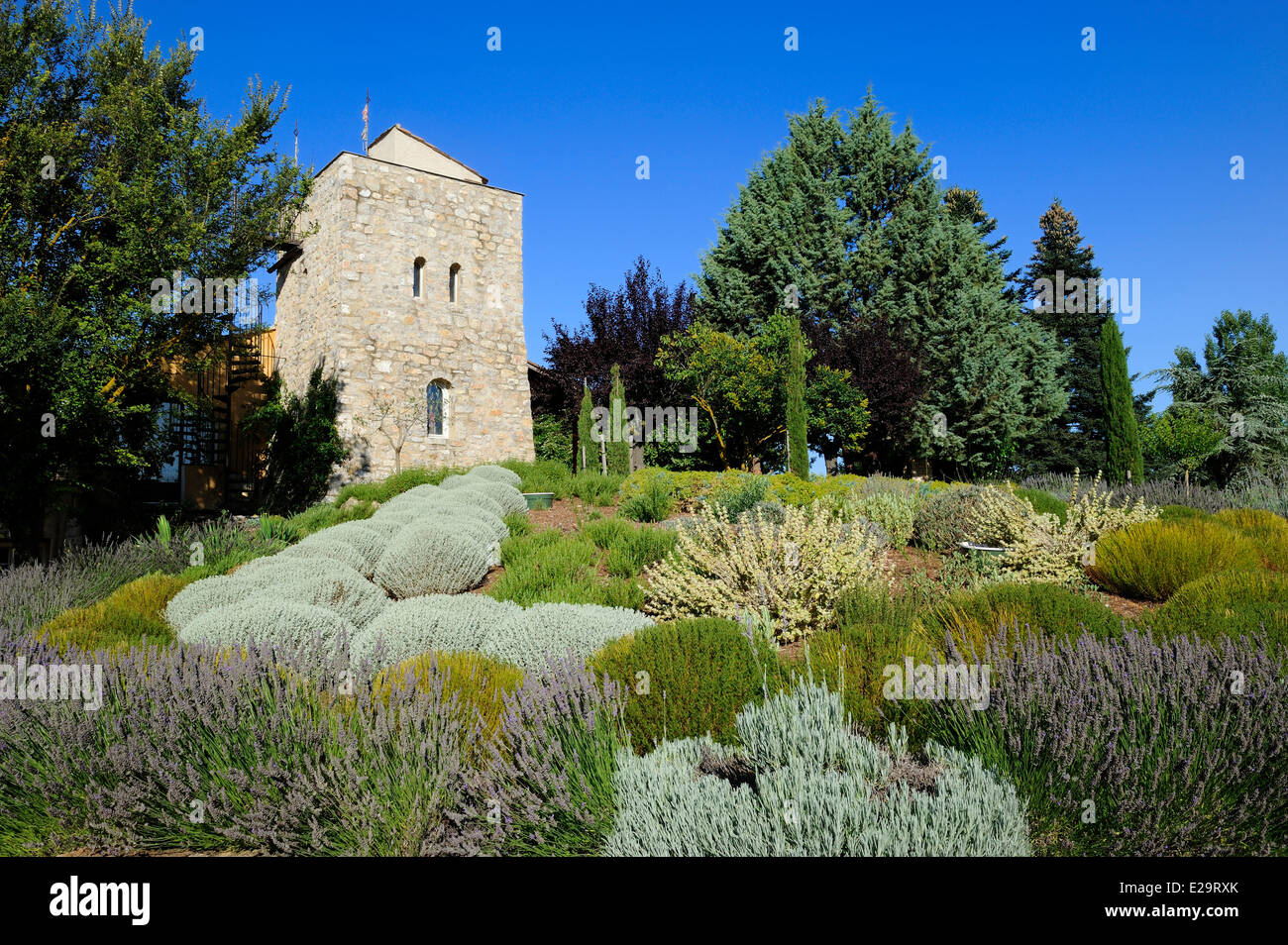 Bras var hi-res stock photography and images - Alamy