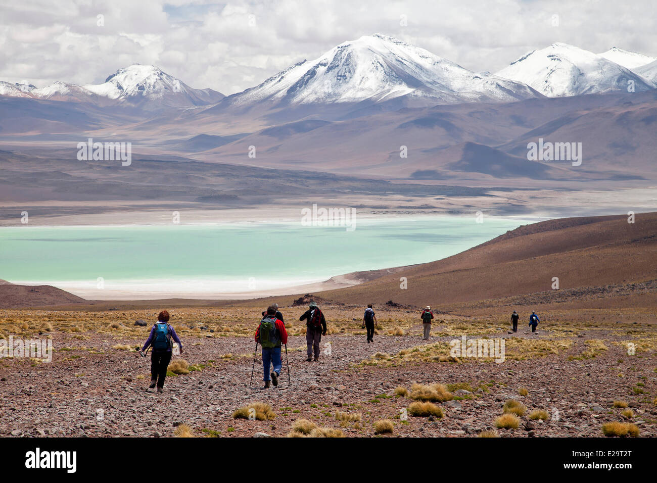 Bolivia, Potosi department, Eduardo Avaroa Andean Fauna National Reserve, hikers in the front of the Laguna Verde Stock Photo