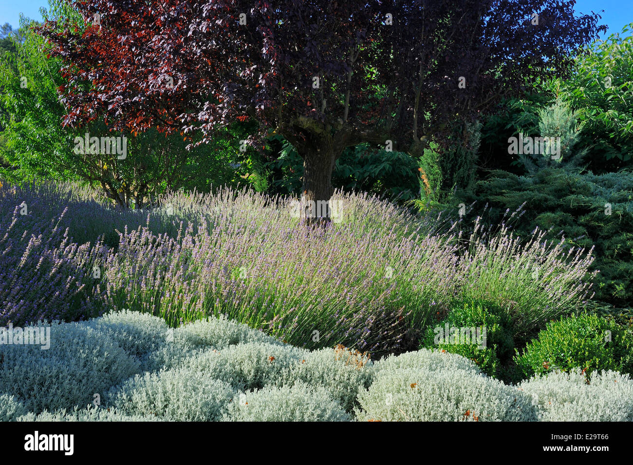 France, Var, Provence Verte (Green Provence), Bras village next to ...