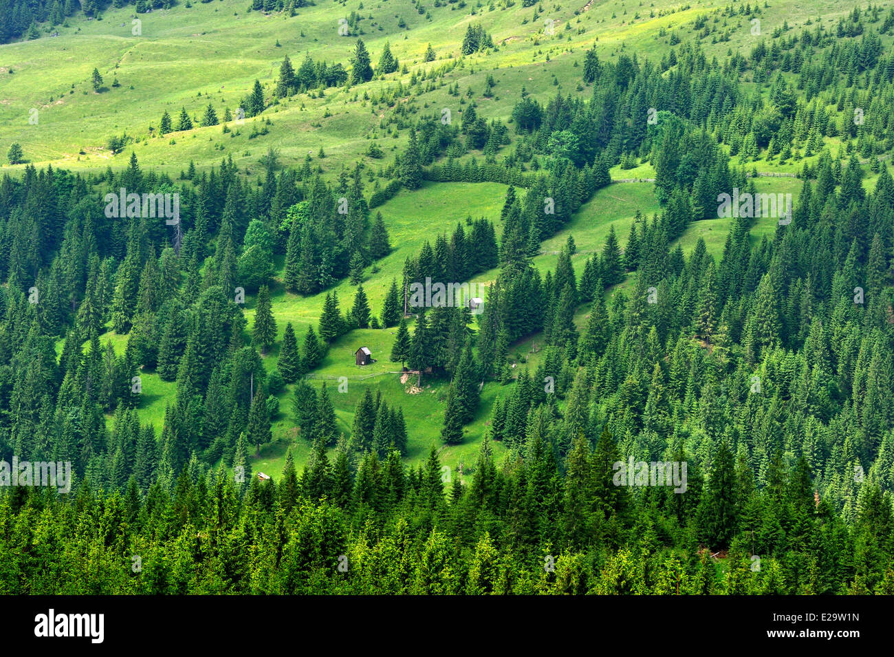 Romania, Carpathian Mountains, Maramures region Stock Photo