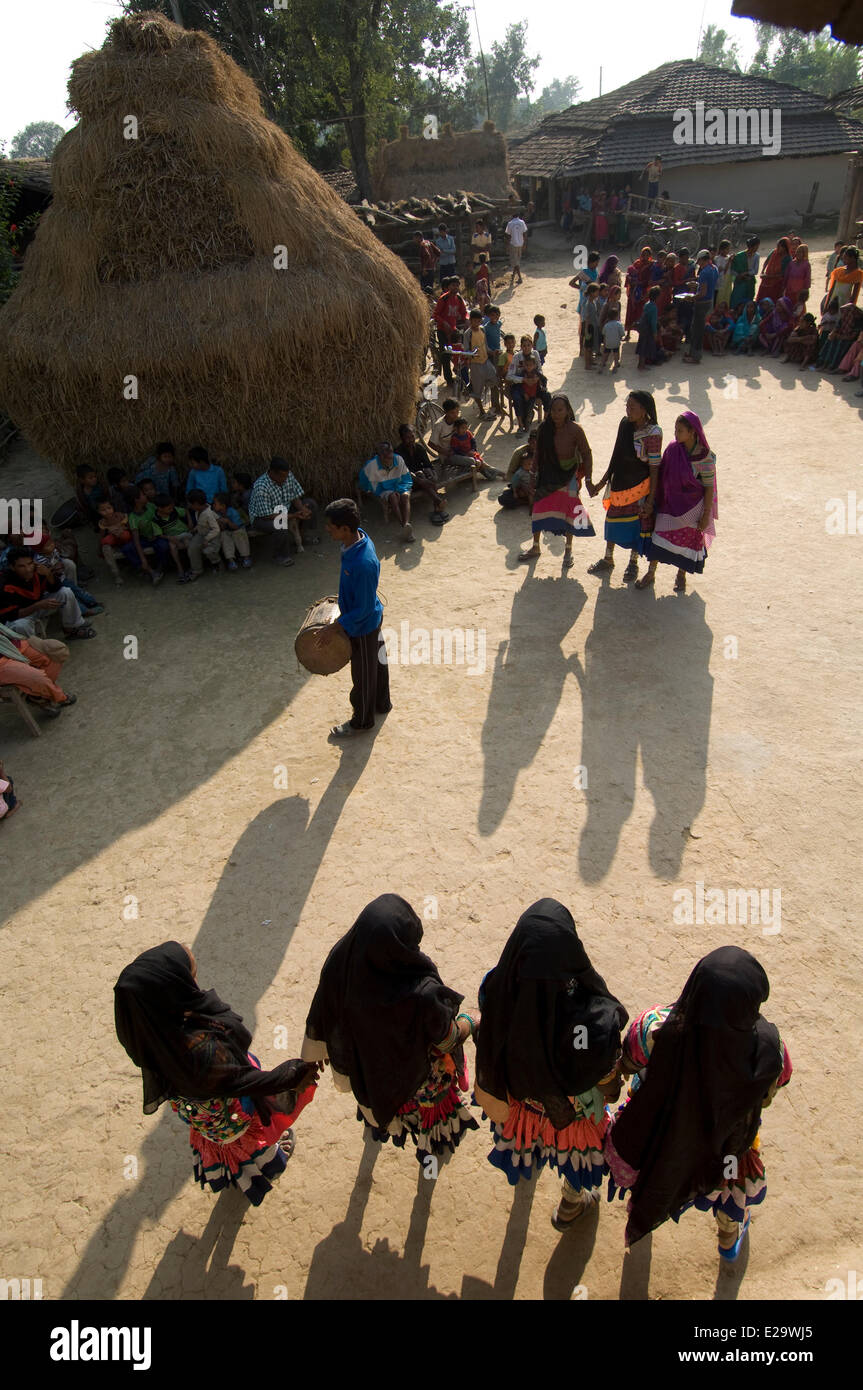 Nepal, Terai area, Mahakali Zone, Kanchanpur District, Kalagaudi ...