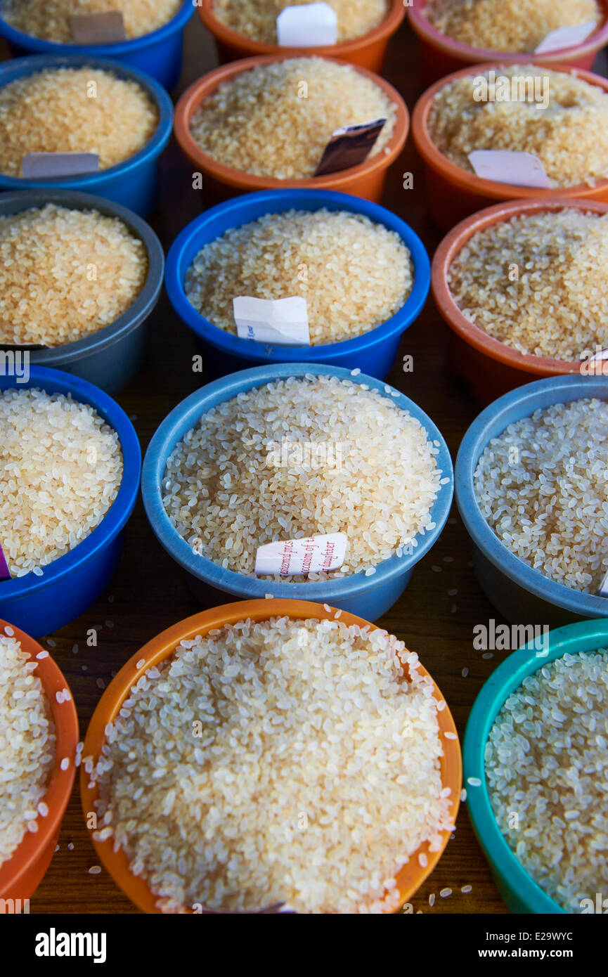 Calicut market kerala hires stock photography and images Alamy