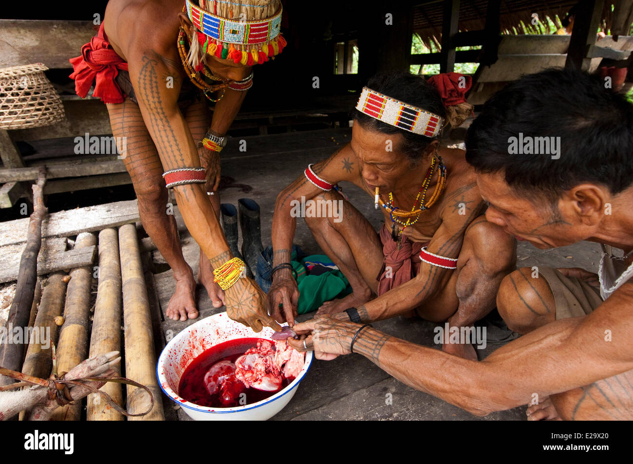 Indonesia, Sumatra, Siberut, with the Mentawai, or Flower People Stock Photo