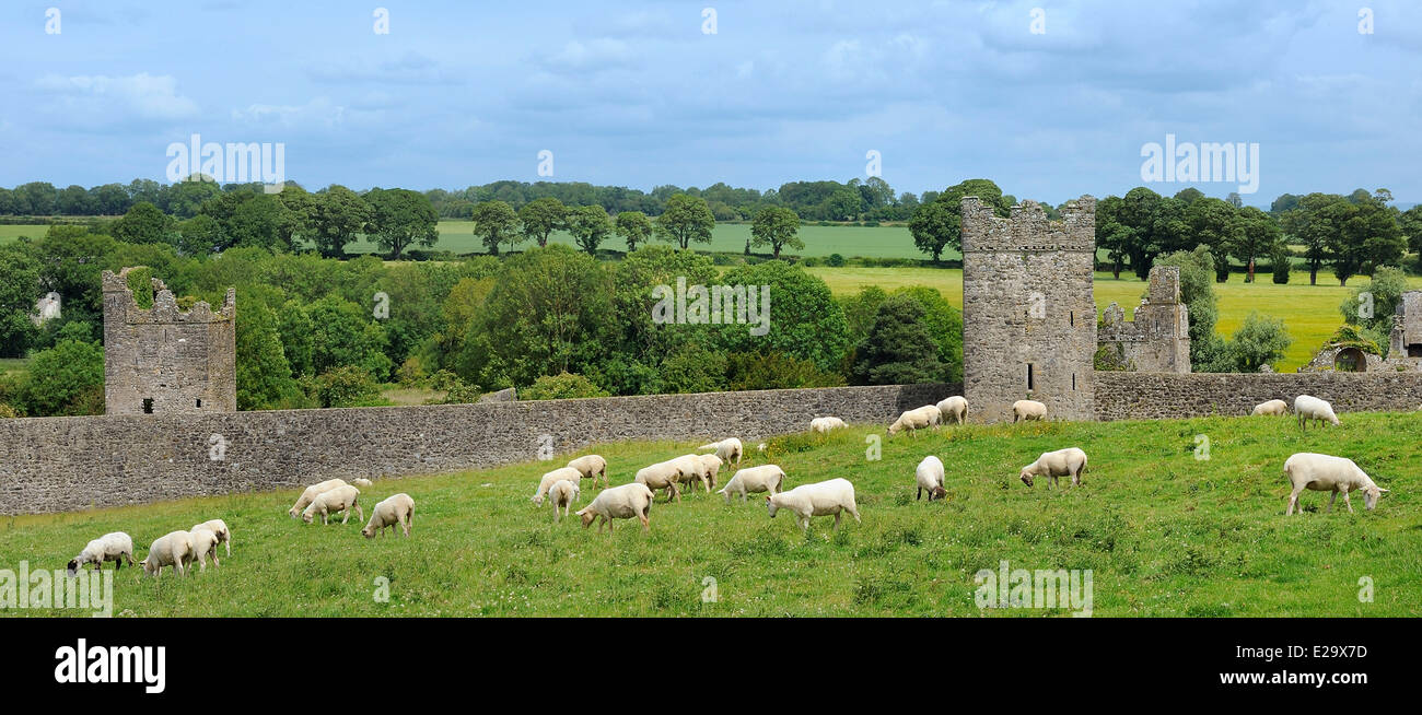 Ireland, County Kilkenny, Kells Priory (12th C) Stock Photo