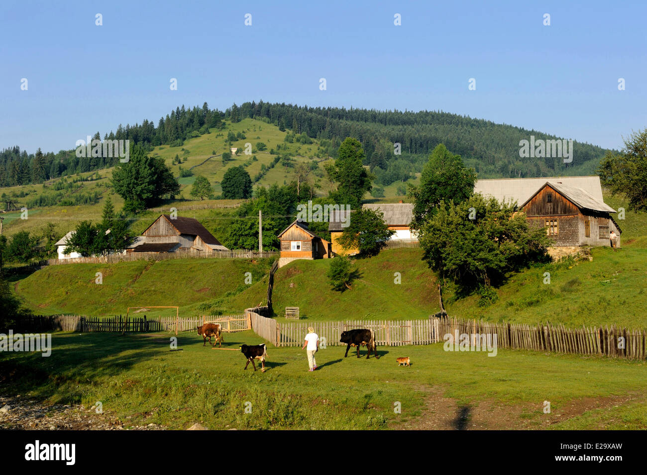 Romania, Bucovina region Stock Photo