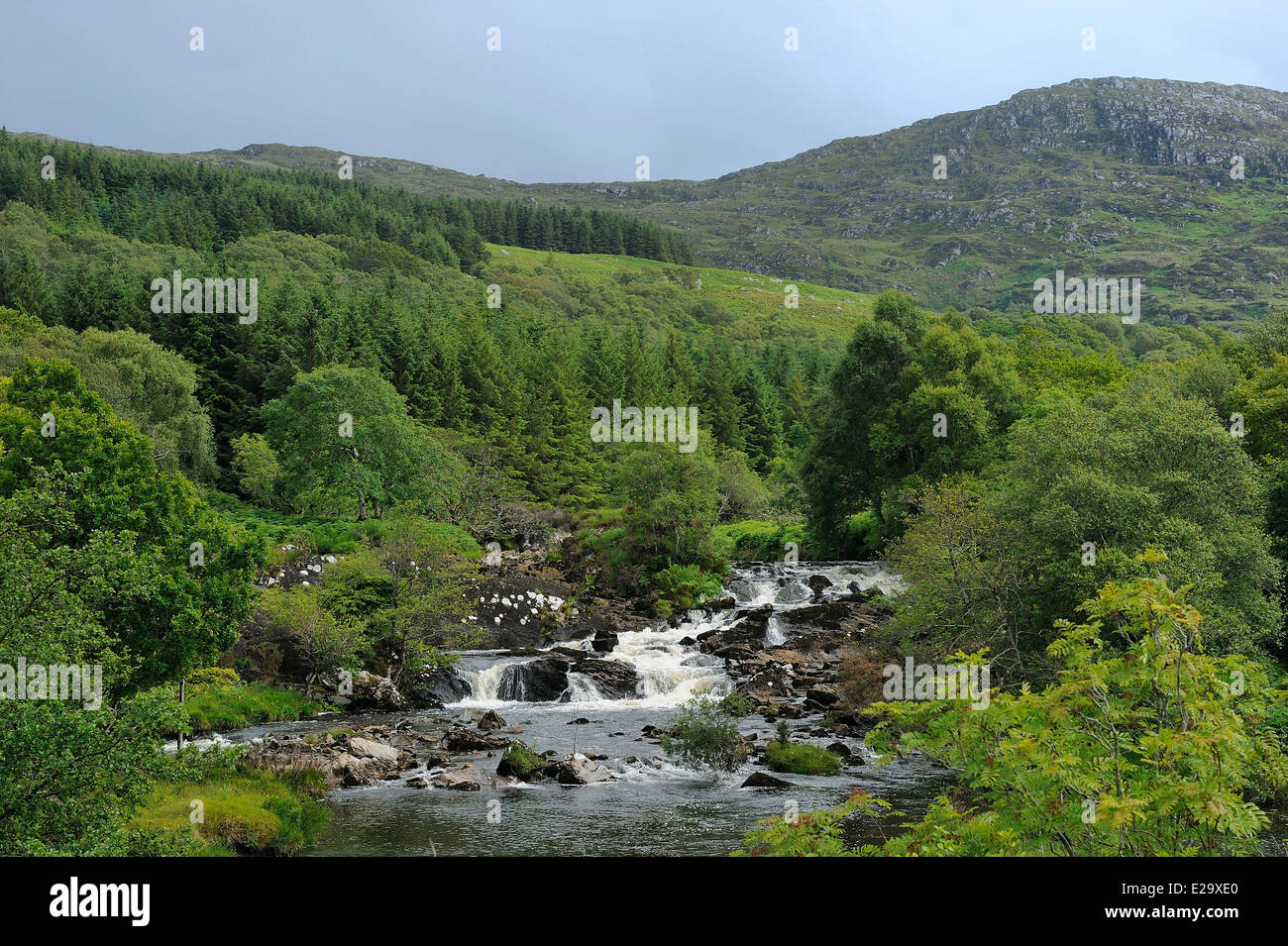 Blackwater hires stock photography and images Alamy