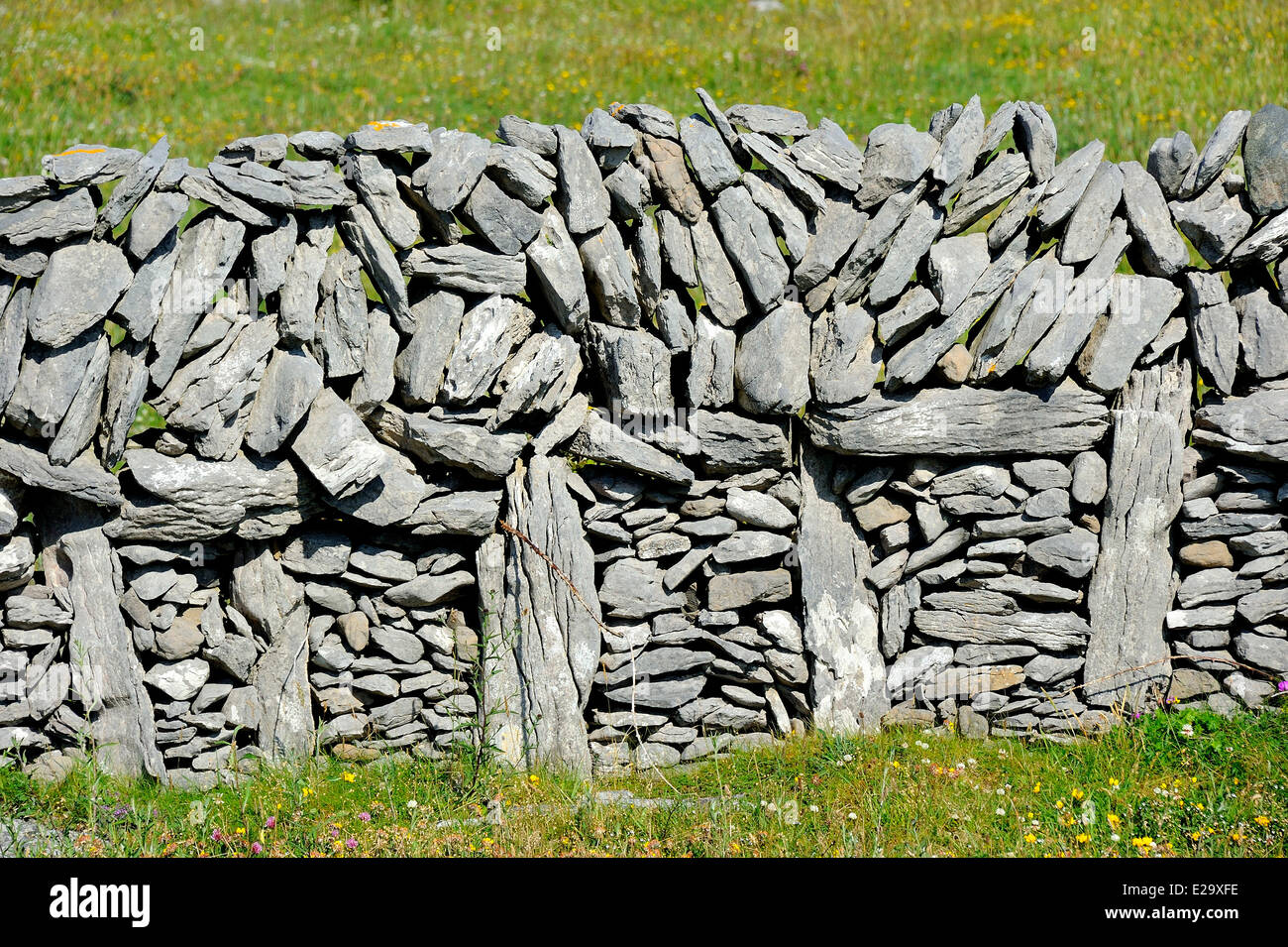 Ireland, County Galway, Aran Islands, Inishmore, Stone wall Stock Photo