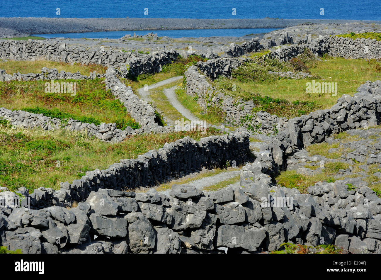 Ireland, County Galway, Aran Islands, Inishmore Stock Photo