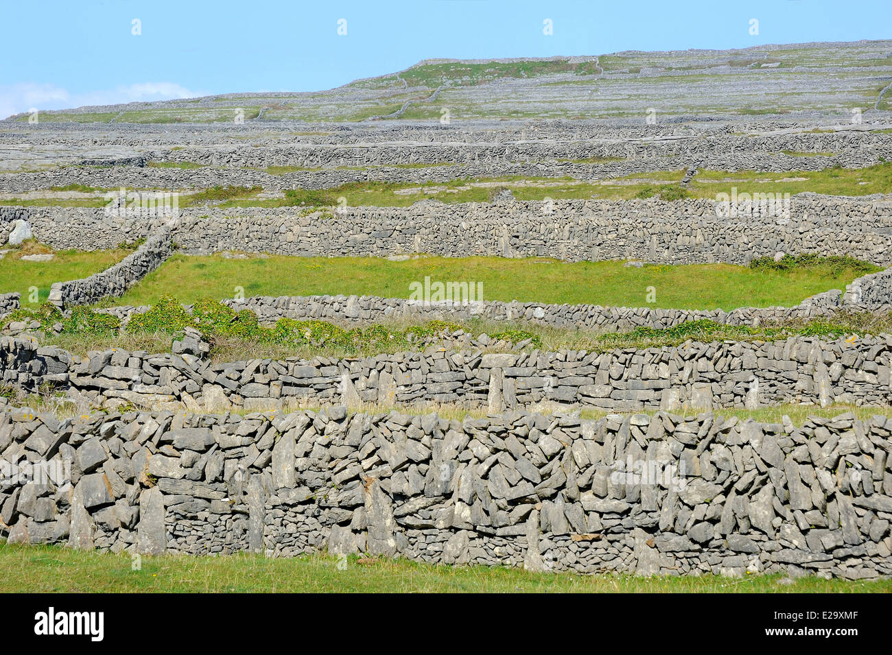 Ireland, County Galway, Aran Islands, Inishmore, Stone walls Stock