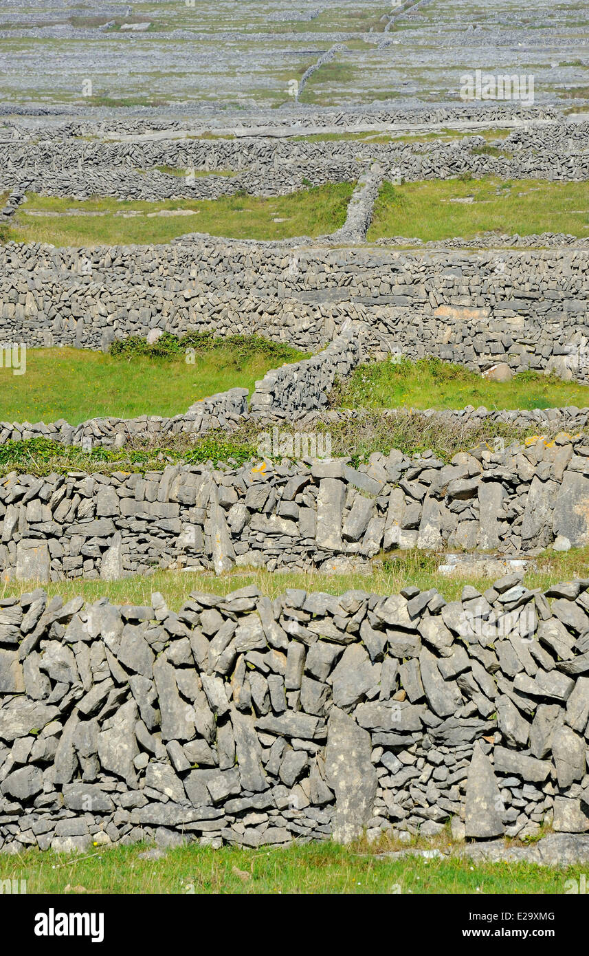 Ireland, County Galway, Aran Islands, Inishmore, Stone walls Stock