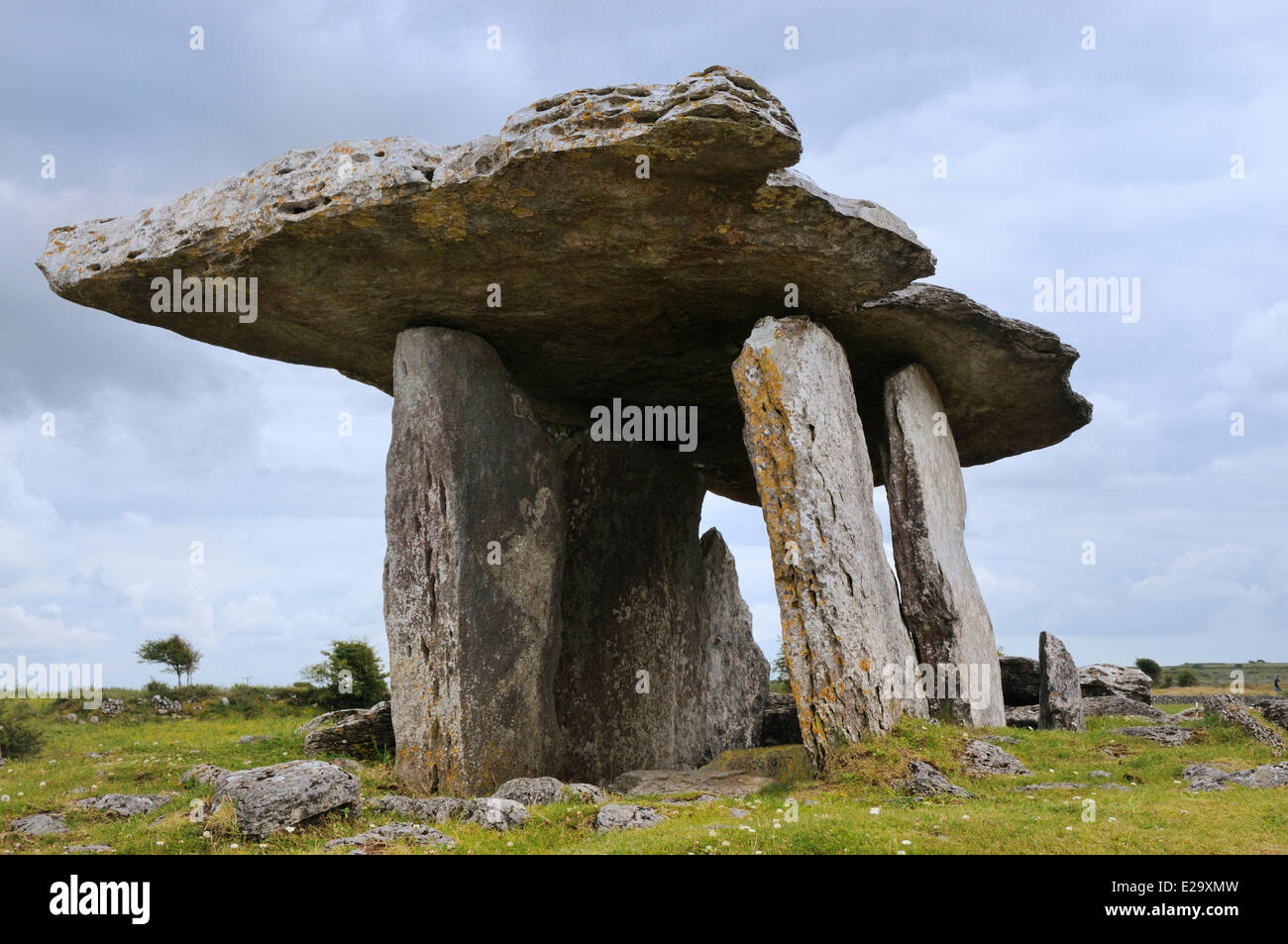 Ireland, County Clare, The Burren, Poulnabrone dolmen (4200 BC to 2900 BC) Stock Photo