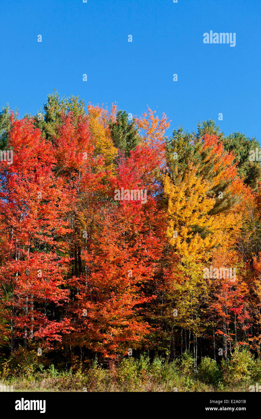 Canada, Quebec province, Eastern Townships or Estrie, fall foliage, the