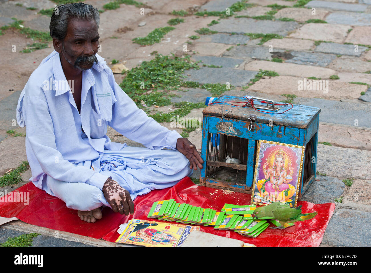 India, Tamil Nadu State, Chidambaram, parrot in the Shiva