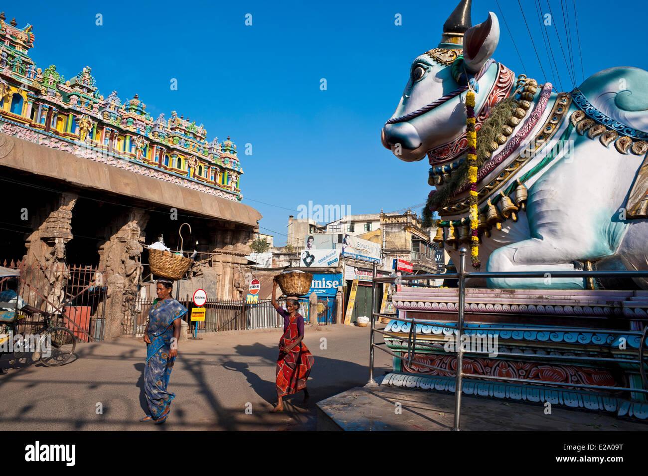 India, Tamil Nadu state, Madurai, the bull Nandi (vehicle of Shiva) near the Sri Meenakshi temple Stock Photo