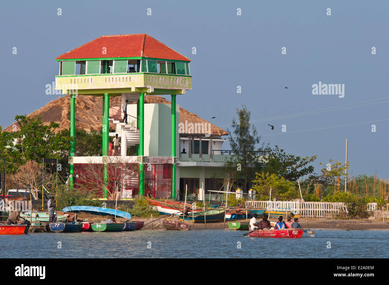 Largest mangrove hi-res stock photography and images - Alamy