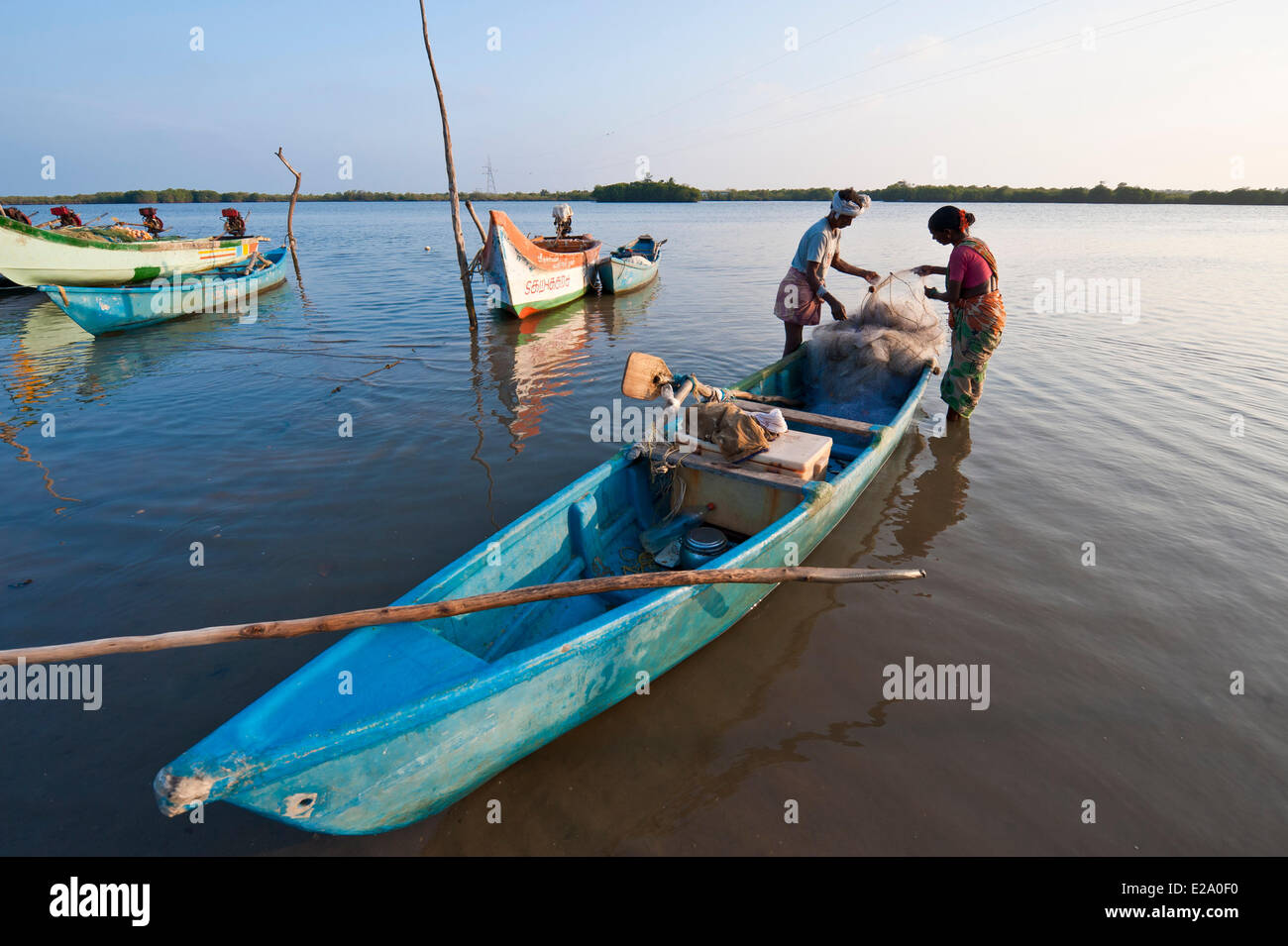 Pichavaram mangrove hi-res stock photography and images - Alamy