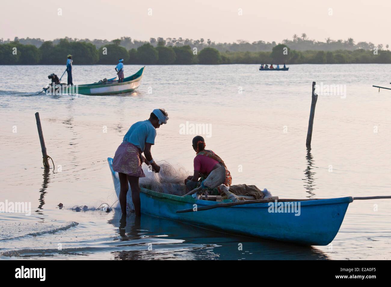 Pichavaram High Resolution Stock Photography and Images - Alamy