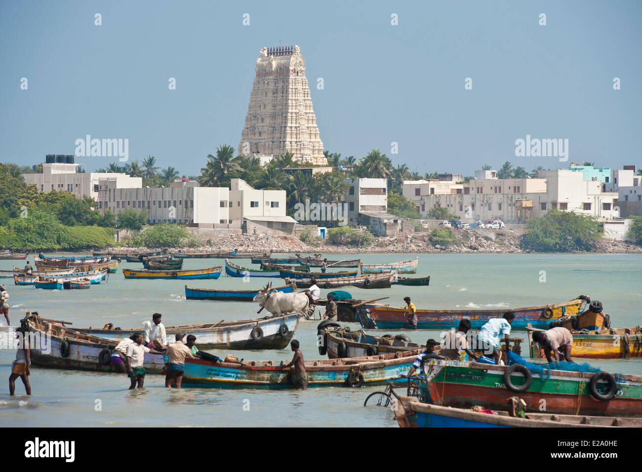 India, Tamil Nadu state, Rameswaram is one of the holy cities of India ...